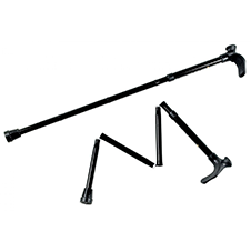 walking sticks